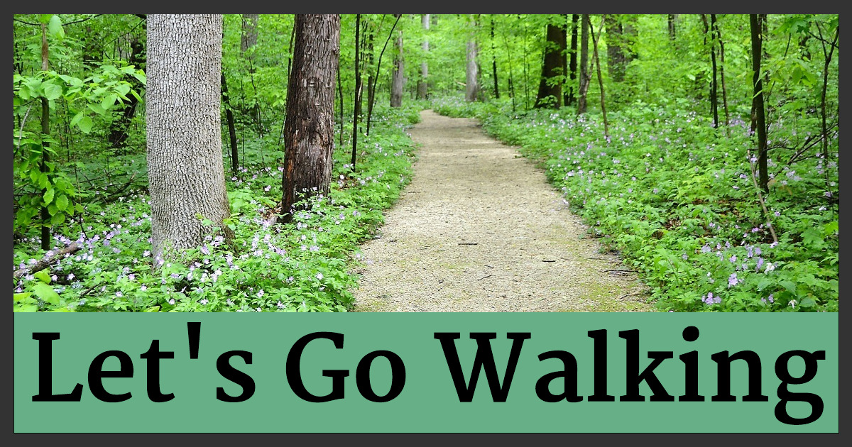 Let's Go Walking