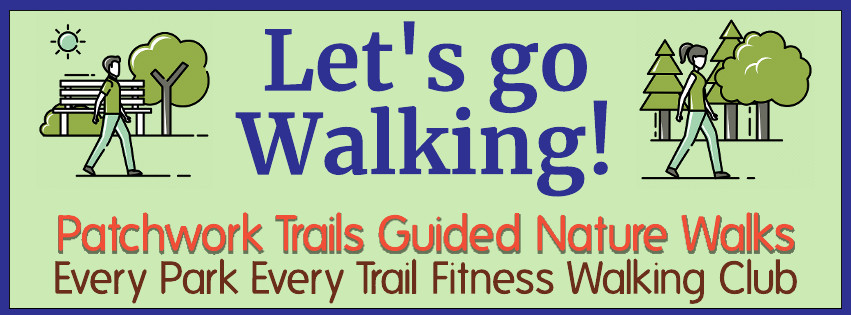 Let's Go Walking