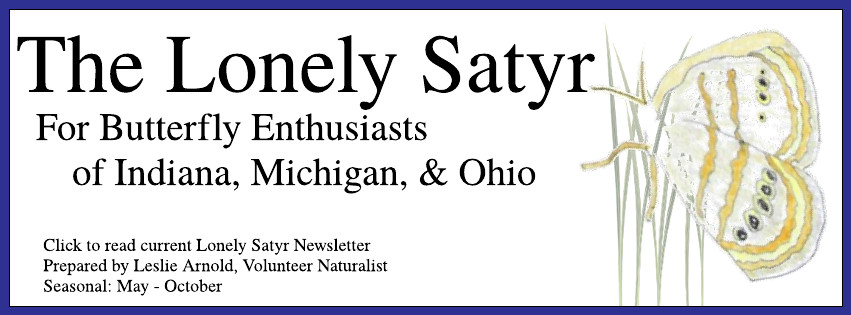 The Lonely Satyr Newsletter