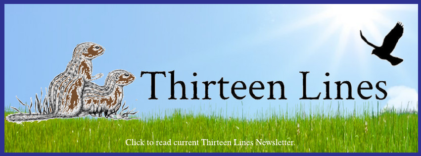 Thirteen Lines Newsletter