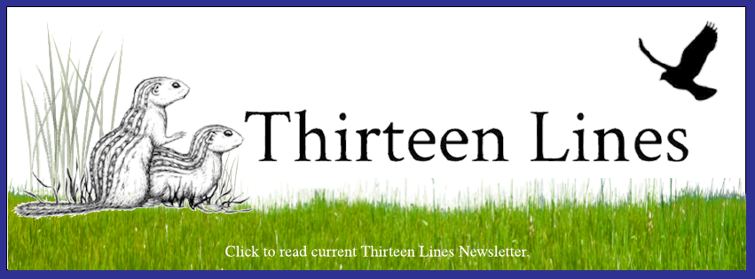 Thirteen Lines
