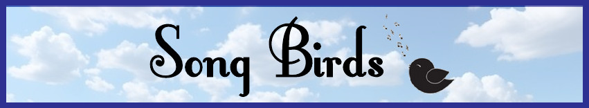 Song Birds